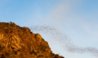 แนะนำห้องพักแถวๆ ถ้ำค้างคาว น่าไปพัก  ในปี 2025
