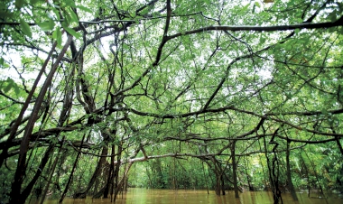 รีวิวโรงแรม หรูรา รีสอร์ท ที่พักหรู โรงแรม 5 ดาว โรงแรมใน คลองสังเหน่ที่คุณห้ามพลาด ที่พัก สวย++.  ในปี 2025