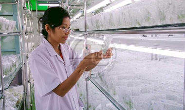 ค้างคืนแถว ศูนย์บริหารศัตรูพืชโดยชีวภาพ0y';yf เลือกจองที่ไหนดี  ในปี 2025