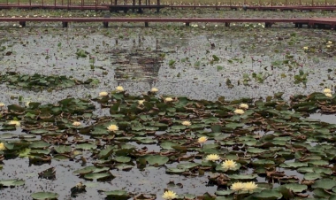 รีวิวห้องพักที่ใกล้ที่สุดแถว อุทยานบัวเฉลิมพระเกียรติ ที่น่าพักผ่อน  ในปี 2025
