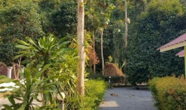 หาที่พักที่ใกล้ที่สุดแถว บ้านคา ราคากันเอง  ในปี 2025