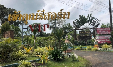 หากท่านมาเที่ยว พิบูลมังสาหาร มองหาที่พัก บริการจองโรงแรม รีสอร์ท ที่พักราคาถูก ไม่บวกราคาเพิ่มในภายหลังเลือกชำระเงินได้หลายช่องทาง พร้อมโปรโมชั่นราคาพิเศษ.