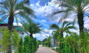 ค้างคืนแถว ป่าคา เลือกจองที่ไหนดี  ในปี 2025