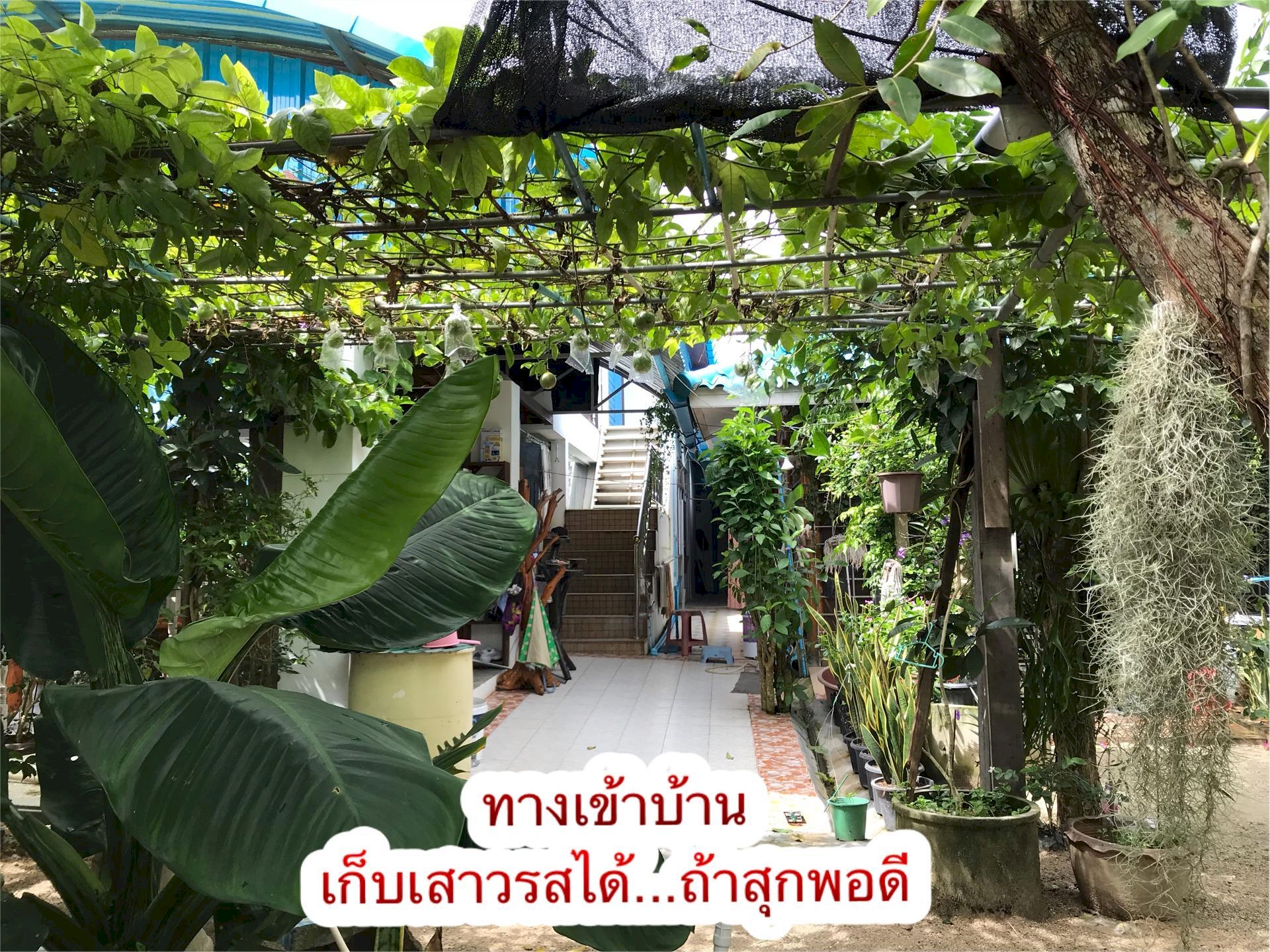 รีวิวห้องพักที่ใกล้ที่สุดแถว นาทวี ที่น่าพักผ่อน